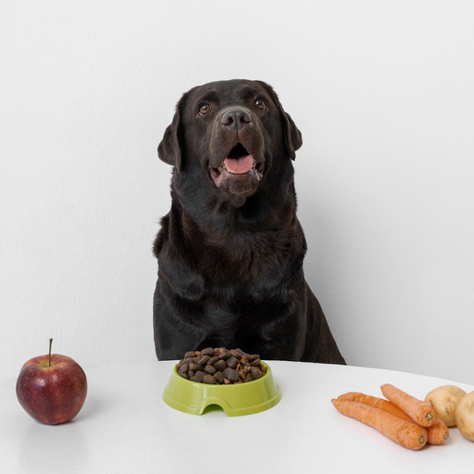 Alimentazione e differenza fra diete