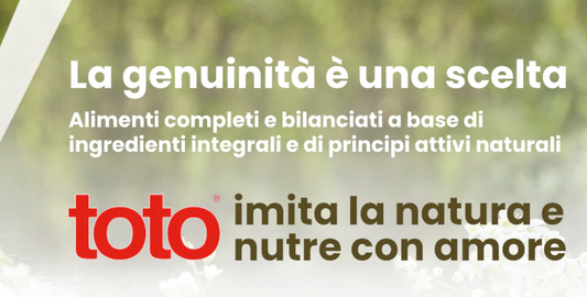 Rivenditori crochette Toto a Udine