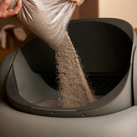 Che tipo di lettiera uso per il mio gatto?