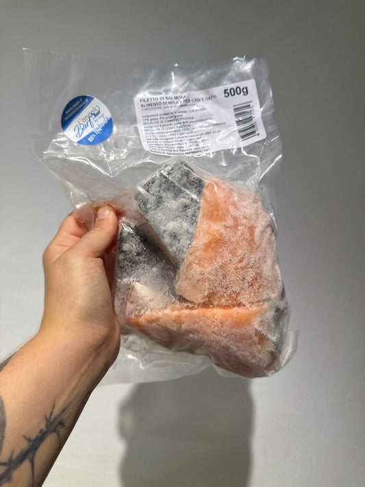 Filetto di salmone 500gr