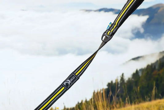 Guinzaglio Elastico per cani 4 Season