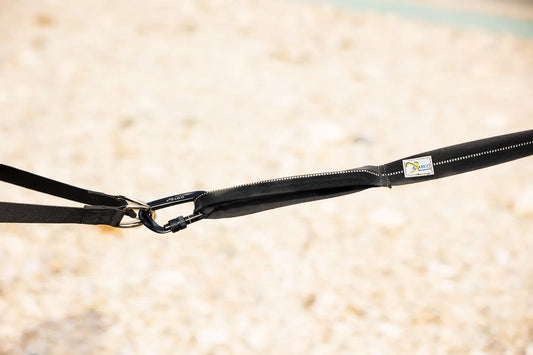 Guinzaglio da Jogging per cani