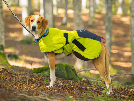 Cappottino protettivo per cane - contro pioggia, vento e gelo