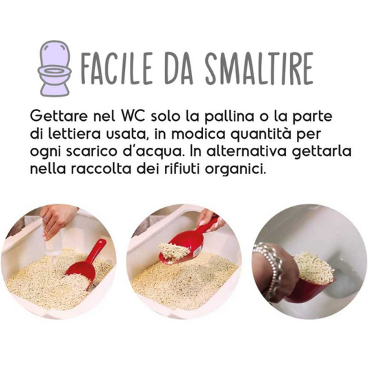 Lettiera per Gatti al tofu BeNatural 5,5L