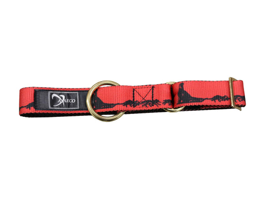 Collare Tecnico Sleddog